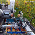 自律式の果実収穫AIロボットのプロトタイプを発表　人とほぼ同じ速さでリンゴなど果実を収穫　農研機構/デンソー/立命館が開発