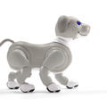 【速報】ソニーのペットロボット「aibo」2021年の限定バージョンは「黒ごま エディション」4色から選べる瞳がチャームポイント