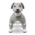 【速報】ソニーのペットロボット「aibo」2021年の限定バージョンは「黒ごま エディション」4色から選べる瞳がチャームポイント