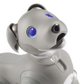 【速報】ソニーのペットロボット「aibo」2021年の限定バージョンは「黒ごま エディション」4色から選べる瞳がチャームポイント