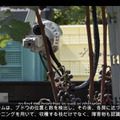 ヤマハ発動機が「ぶどう収穫AGV」の動画を公開　長野県で無人の農業向け自動運転車両の開発が進む　90%の精度で検出