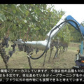 ヤマハ発動機が「ぶどう収穫AGV」の動画を公開　長野県で無人の農業向け自動運転車両の開発が進む　90%の精度で検出