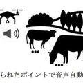 牛の誘導はドローンにまかせて!! ドコモの放牧業務効率化の実証実験をテックファームがサポート