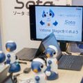 sota05