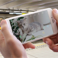 ペットの退屈を解消するスマートロボット「Ebo」(イーボ)　自動走行モード搭載、スマホアプリで手軽に撮影や声掛けもできる