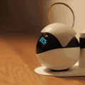 ペットの退屈を解消するスマートロボット「Ebo」(イーボ)　自動走行モード搭載、スマホアプリで手軽に撮影や声掛けもできる