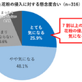 コロナ禍の花粉対策　パナソニックが「空気清浄器の効果的な置き方」と「すぐできる4つの花粉対策」を公表