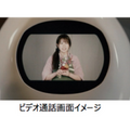 見守り会話ロボット「タピア」の実証実験 茨城県大子町で高齢者在宅における実用性を検証