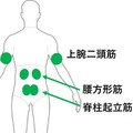 ATOUNの着るロボットは腕の負荷を65%軽減 「腕＋腰の併用」で疲労度は6割減　鈴与甲信支店の作業員が実験に参加