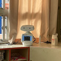 開発中の自律移動型の会話ロボット「AYUDA」(アユダ)と感染症対策ロボット「AYUDA-MiraMe」(アユダ ミラーミ)をCIJが展示