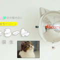 <p><a href=