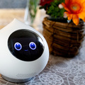 ミクシィの自律型AI会話ロボット「Romi」(ロミィ)一般販売は4月21日から ペットのような癒やしと、家族のような存在感