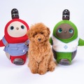 ペットショップ「ペットプラス」に家族型ロボット『LOVOT』が期間限定で登場 ロボットとの新しいライフスタイルを提案