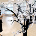 ARで目の前に桜の木が出現!いつでもどこでもお花見 ウェザーニューズ『さくらAR』