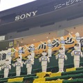 【動画】100体のPepperでロボット応援団を結成！迫力のダンスパフォーマンスで福岡ソフトバンクホークスを応援