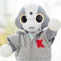 kibiro