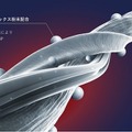 最適な睡眠環境と疲労回復のためのスリープウェア”BAKUNE”が「一般医療機器」に認定　 楽天ランキング３冠