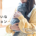 <p>シェア 0 ツイート 0 はてブ 0</p>