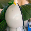 unibo06