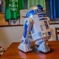 r2d206