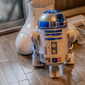 r2d207