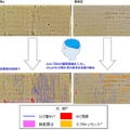 高速道路のひび割れをAIが自動で検出　NEXCO西日本がDX化を推進する構造物点検AIの「ひび割れ」的中率は95%