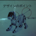 ROBITA PROJECT-DAY1-