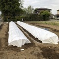 持ち帰り弁当「ほっともっと」のプレナスがスマート農業に挑戦 ドローンによる田植え、IoTを活用した管理システムなど