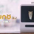 ユピテルの猫型バーチャルペット「Juno」のCMに中村アンさん登場！『日々の成長』篇でJunoと暮らす日々と楽しさを表現