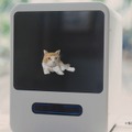 ユピテルの猫型バーチャルペット「Juno」のCMに中村アンさん登場！『日々の成長』篇でJunoと暮らす日々と楽しさを表現
