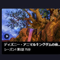 ディズニーの風景を部屋のインテリアにしたい　静かに変わる景色を楽しむDisney+「ディズニーパークの夜明け」と「Atmoph Window」