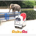 自動運転の歩行速モビリティで動物園をゆっくり周遊　千葉市動物公園内をRakuRoペアリングツアー開催