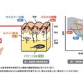 触った時の「つるつる」「ざらざら」を数値化する試験機 カトーテックが慶應義塾大学と5年をかけて実現 2021年秋から販売