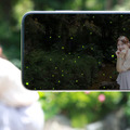 ウェザーニューズの「ARお天気シミュレーター」にカラフルな紫陽花と幻想的なホタルの光をAR体験できる機能を追加