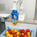 アールティ、野菜投入ロボット用のビジョン&ピッキングシステムを開発 業務用フードスライサー等にカスタマイズ対応が可能
