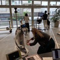 高校生がアバターロボット「ugo R」を愛知県から遠隔操作してインターン　都内のオフィスで英会話をしながら職業体験