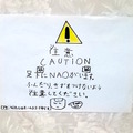 2015_robosta_Xmas011