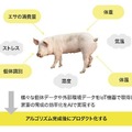 NTT東日本、AIカメラで養豚の体重・体格・肉質を計測する実証実験を神奈川県で開始　品質・生産性向上を目指す