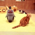 猫と「LOVOT」と自由に遊べる空間が川崎ルフロン内に誕生!モフモフ感満喫の予感 『LOVOT Cafe』でクーポンを配布