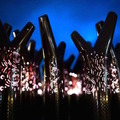 光と音、最新のデジタル技術で楽しむ「カムイルミナ」開催　北海道の大自然とアイヌ文化「阿寒湖の森ナイトウォーク」