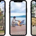 光と音、最新のデジタル技術で楽しむ「カムイルミナ」開催　北海道の大自然とアイヌ文化「阿寒湖の森ナイトウォーク」