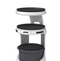 「やっぱりステーキ」が配膳・運搬ロボット「Servi」、人型ロボット「Pepper」、次世代券売機を導入