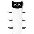 「岩塩熟成ジンギスカンぼんた」がネコ型配膳ロボット「BellaBot」を導入　コロナ禍に対応した業務改革