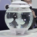 ロボットでストレスフリーな社会を　ユニバーサル未来社会推進協議会 ロボットショーケース