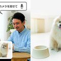 パナソニックの「HDペットカメラ」「ベビーカメラ」「屋内HDカメラ」がAlexaに対応　音声操作で温度確認やカメラ映像を画面表示