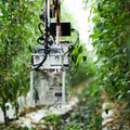 AGRISTがピーマン自動収穫ロボット「L」の予約を開始 試験場を兼ねた「アグリストファーム」も公開