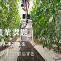 AGRISTがピーマン自動収穫ロボット「L」の予約を開始 試験場を兼ねた「アグリストファーム」も公開