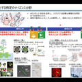人と共進化するAIロボットとは？　内閣府「ムーンショット３」が目指すもの