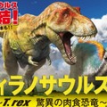<p>シェア 0 ツイート 0 はてブ 0</p>