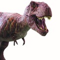 ティラノサウルスが名古屋市科学館に大集結！「ティラノサウルス展」恐竜ロボットの展示も　リラックマグッズ付前売券も販売